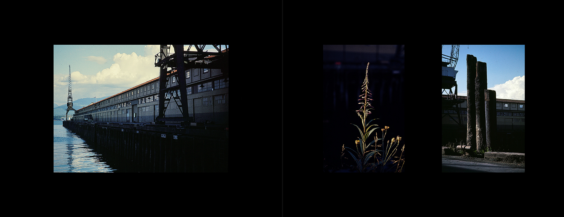 photos from Showers of Midnight Stardust [76]