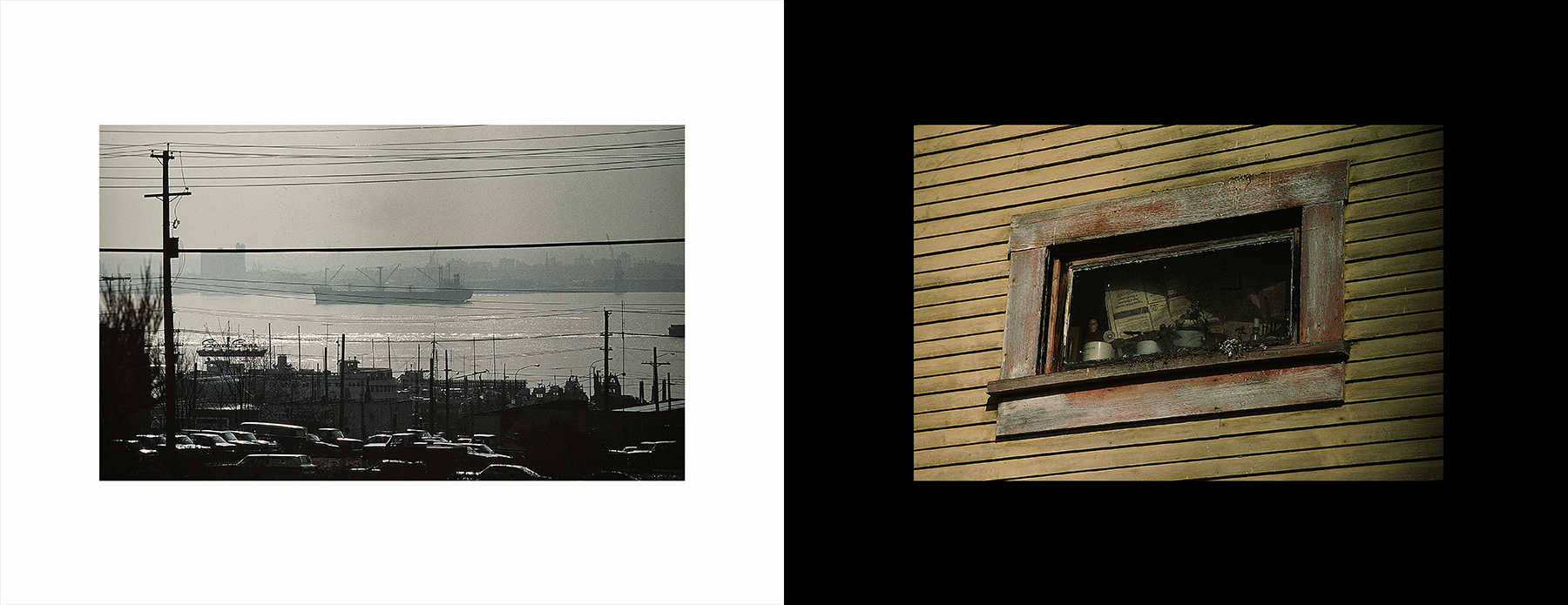 photos from Showers of Midnight Stardust [77]