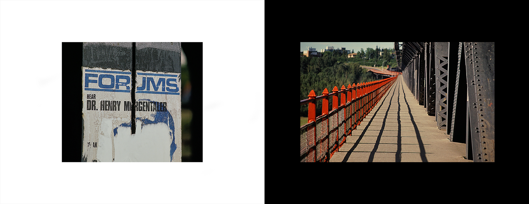 photos from Showers of Midnight Stardust [77]