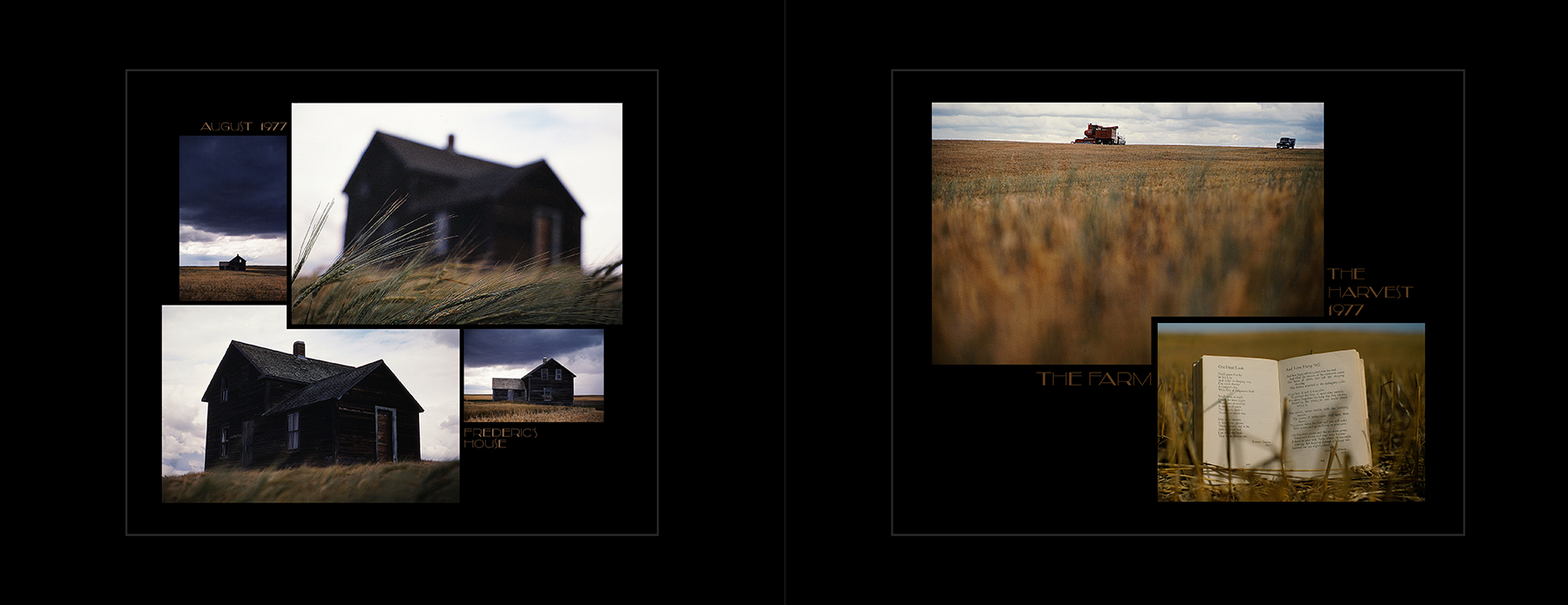 photos from Showers of Midnight Stardust [77]