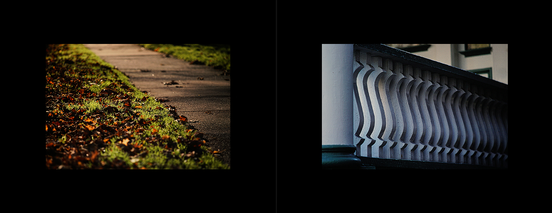 photos from Showers of Midnight Stardust [77]