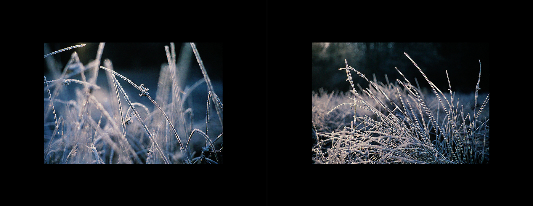 photos from Showers of Midnight Stardust [77]