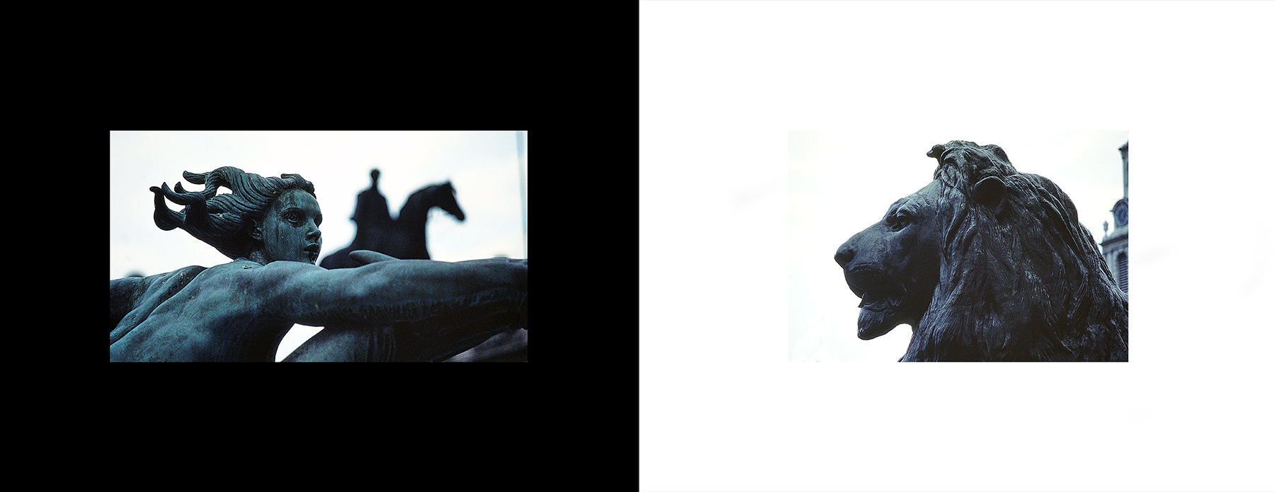 photos from Showers of Midnight Stardust [77]