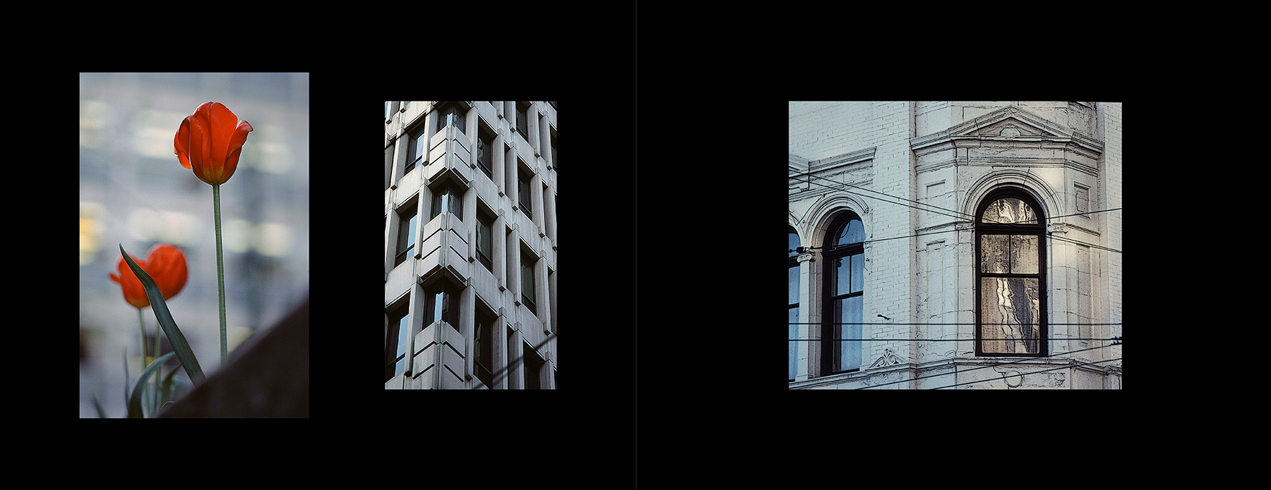 photos from Showers of Midnight Stardust [78]