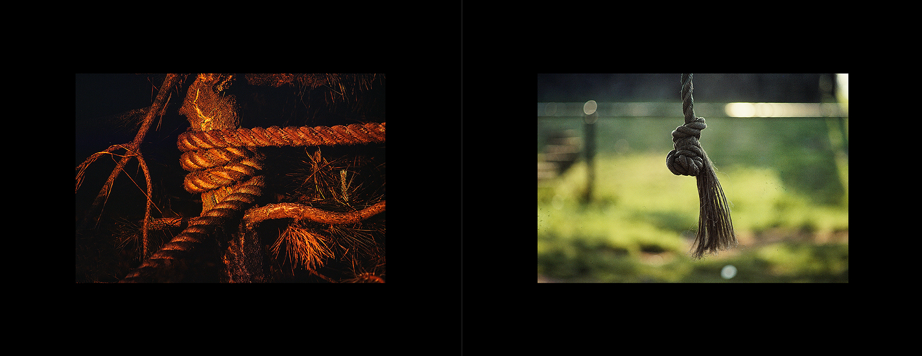 photos from Showers of Midnight Stardust [78]