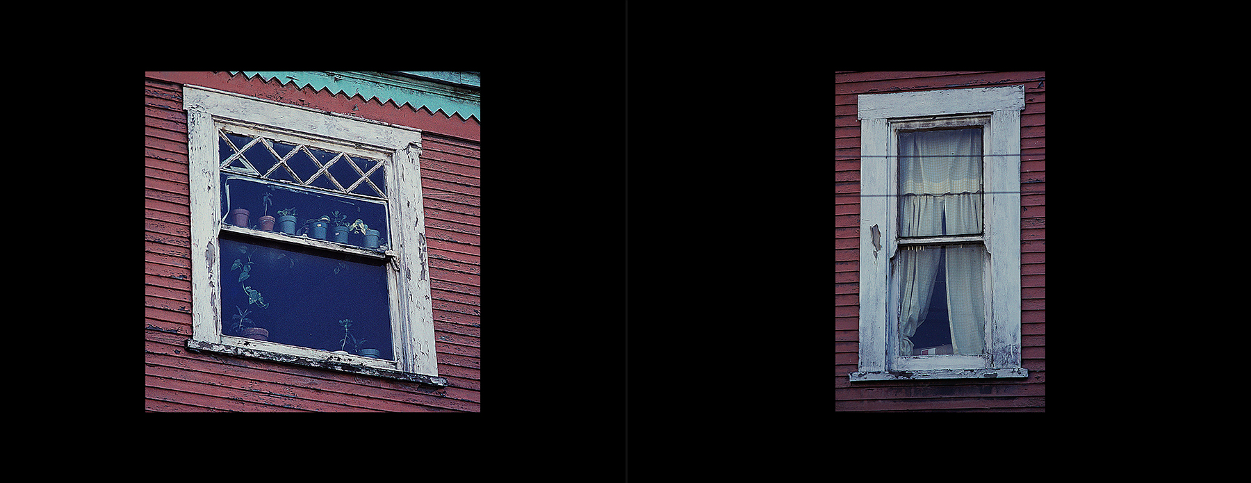 photos from Showers of Midnight Stardust [78]