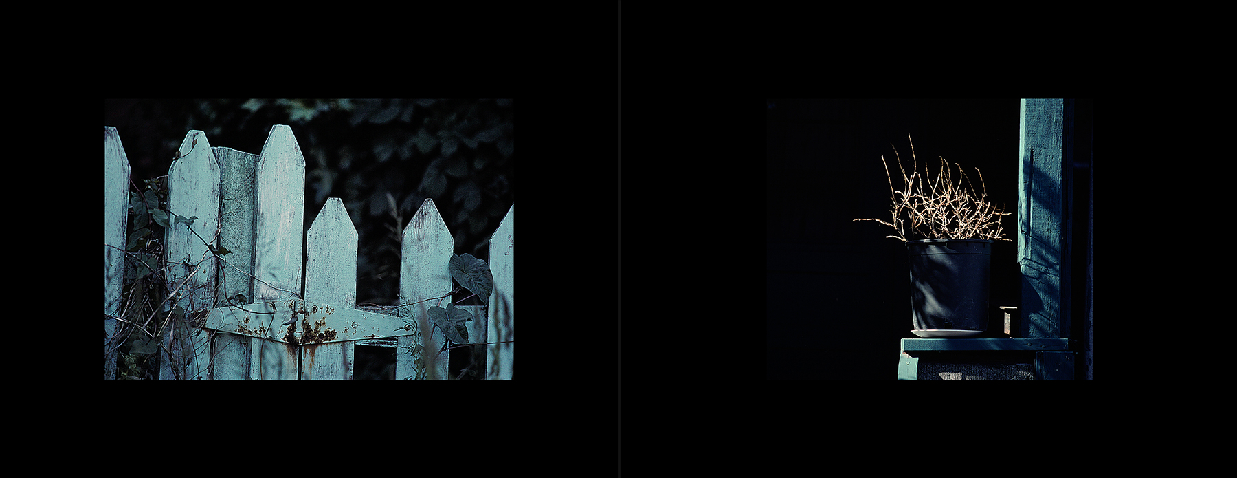 photos from Showers of Midnight Stardust [78]