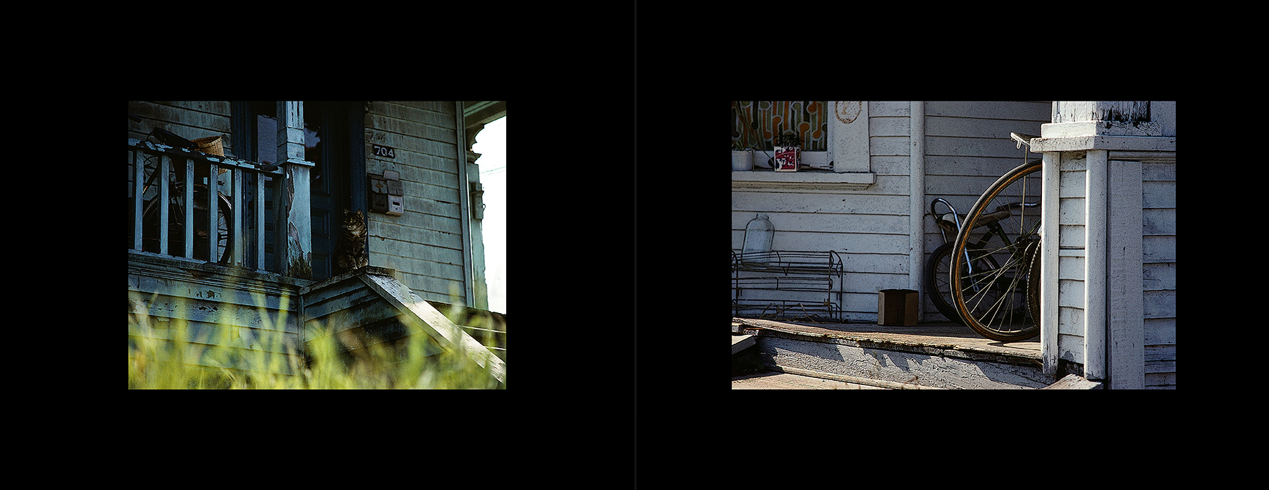 photos from Showers of Midnight Stardust [78]