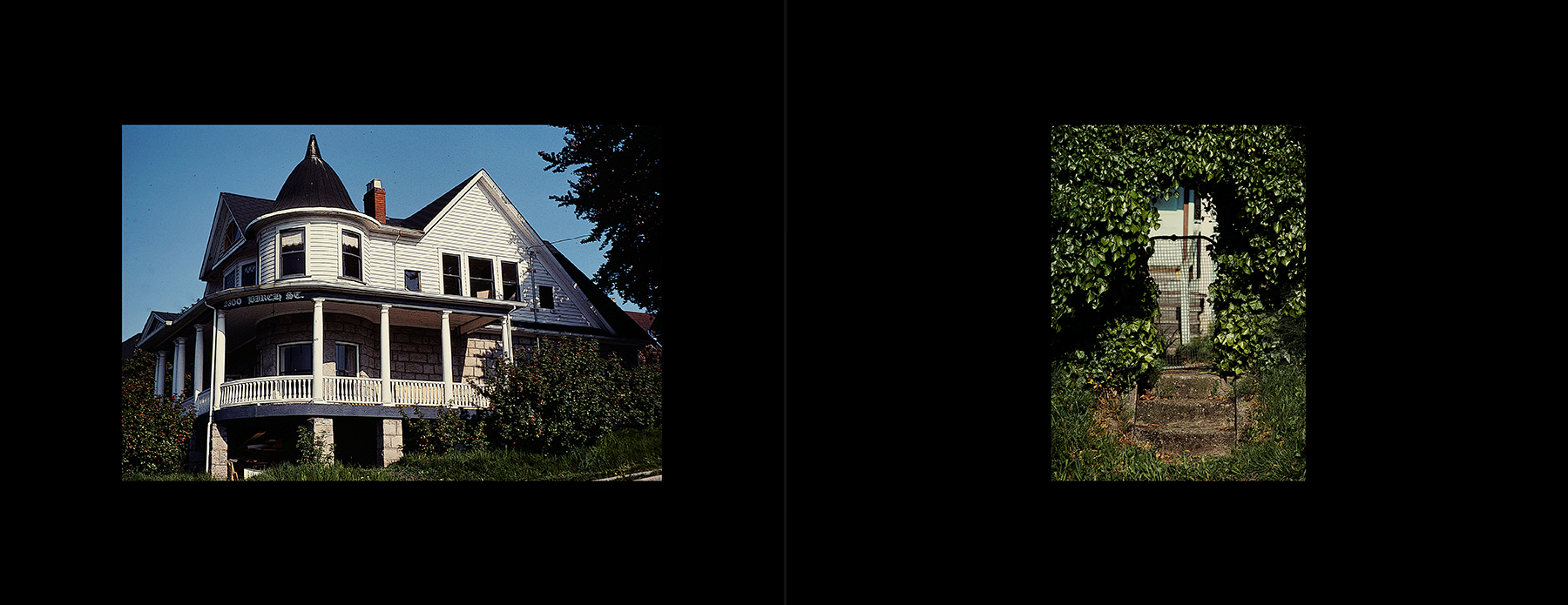 photos from Showers of Midnight Stardust [78]