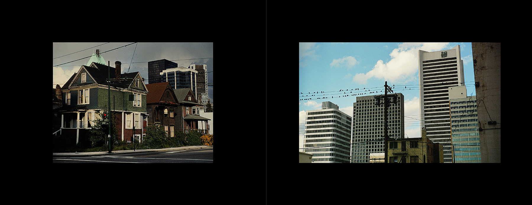 photos from Showers of Midnight Stardust [78]