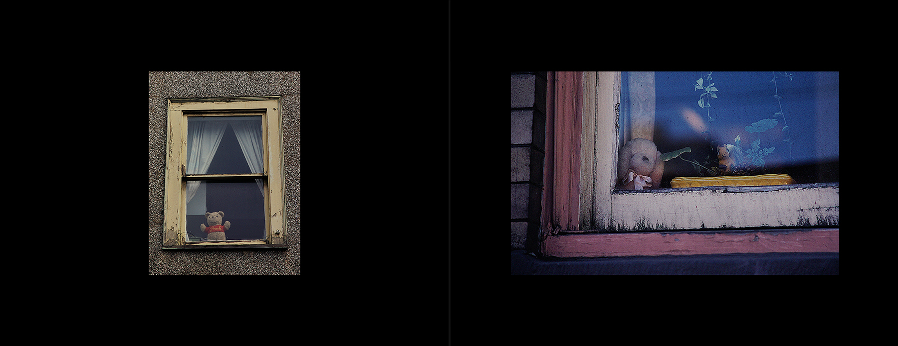 photos from Showers of Midnight Stardust [79]