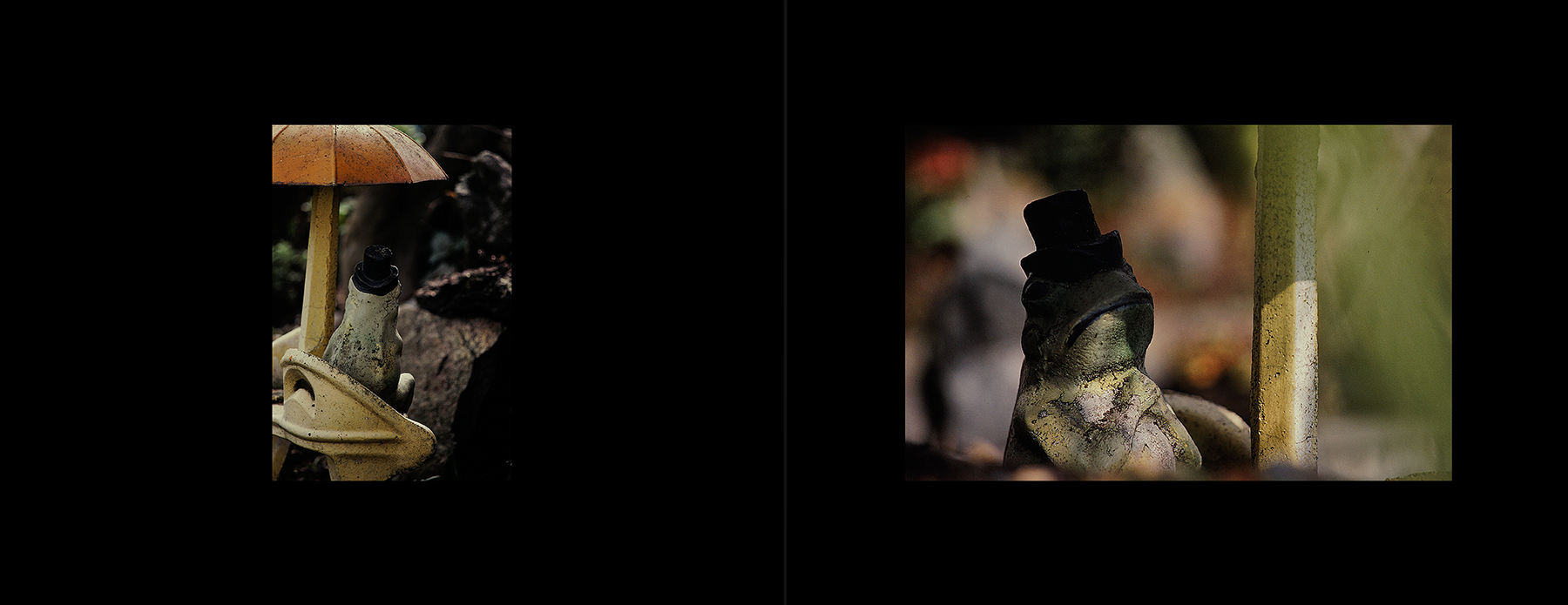 photos from Showers of Midnight Stardust [79]