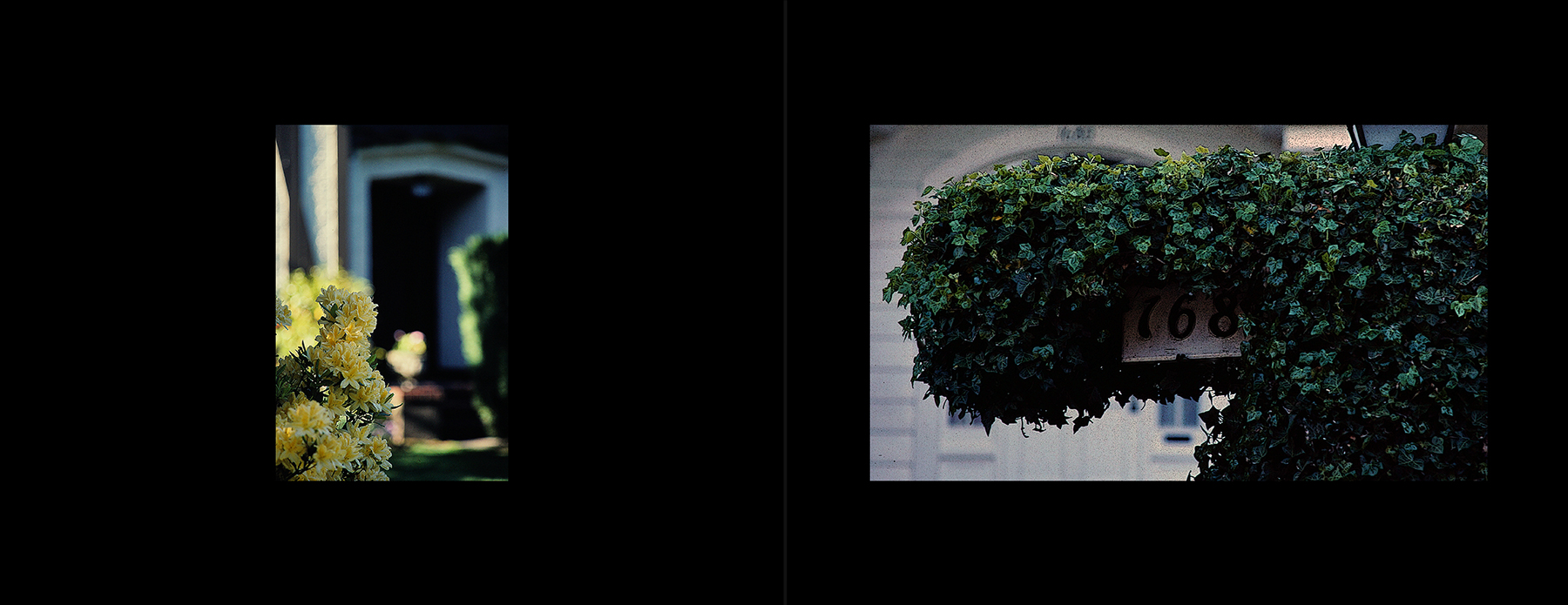 photos from Showers of Midnight Stardust [79]