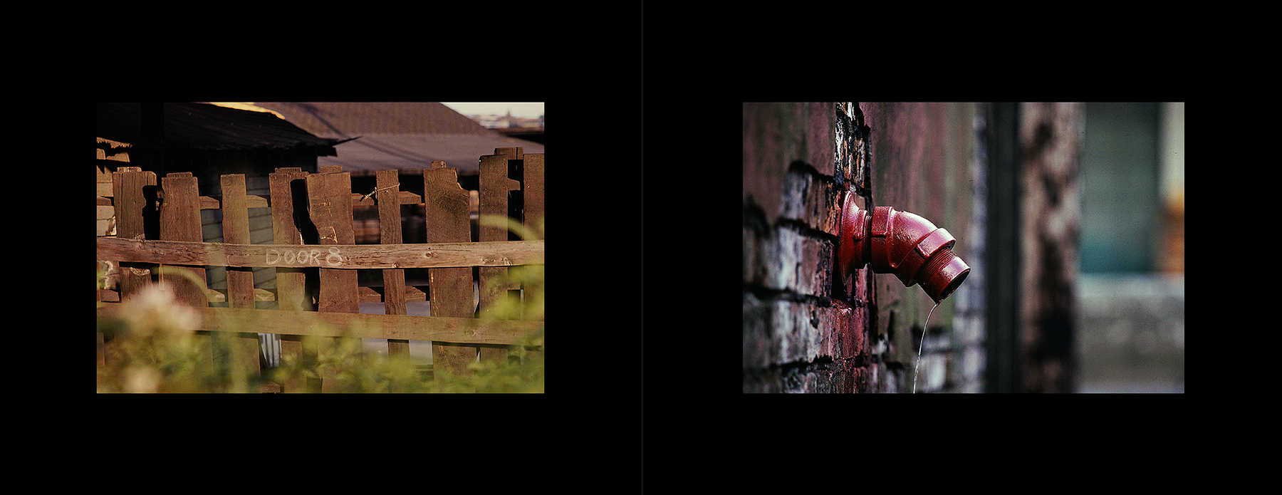 photos from Showers of Midnight Stardust [79]