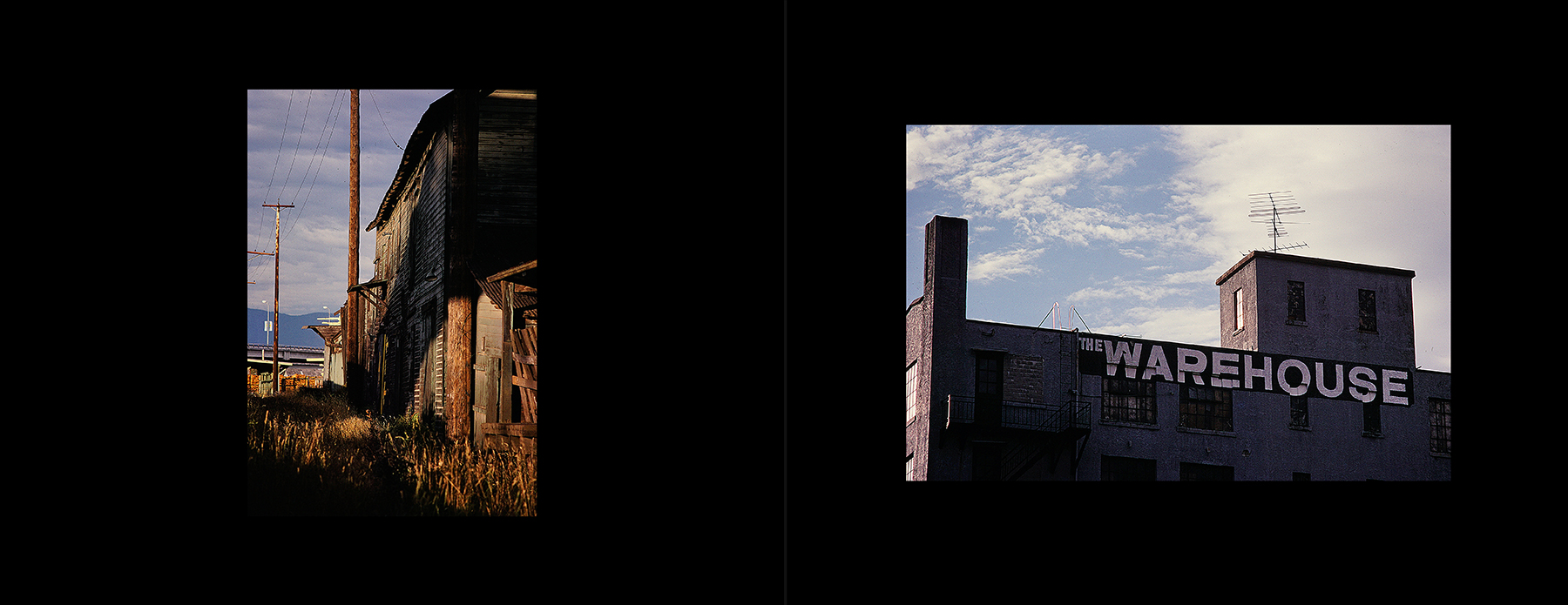 photos from Showers of Midnight Stardust [79]