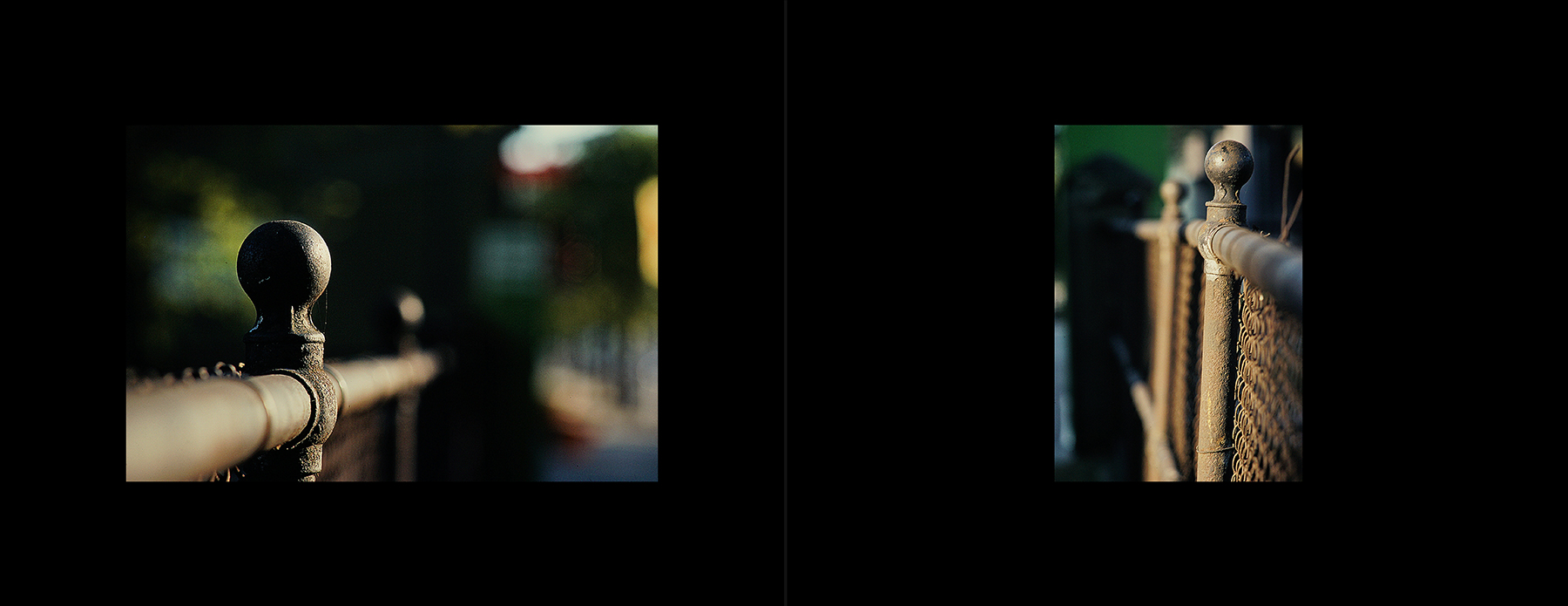 photos from Showers of Midnight Stardust [79]