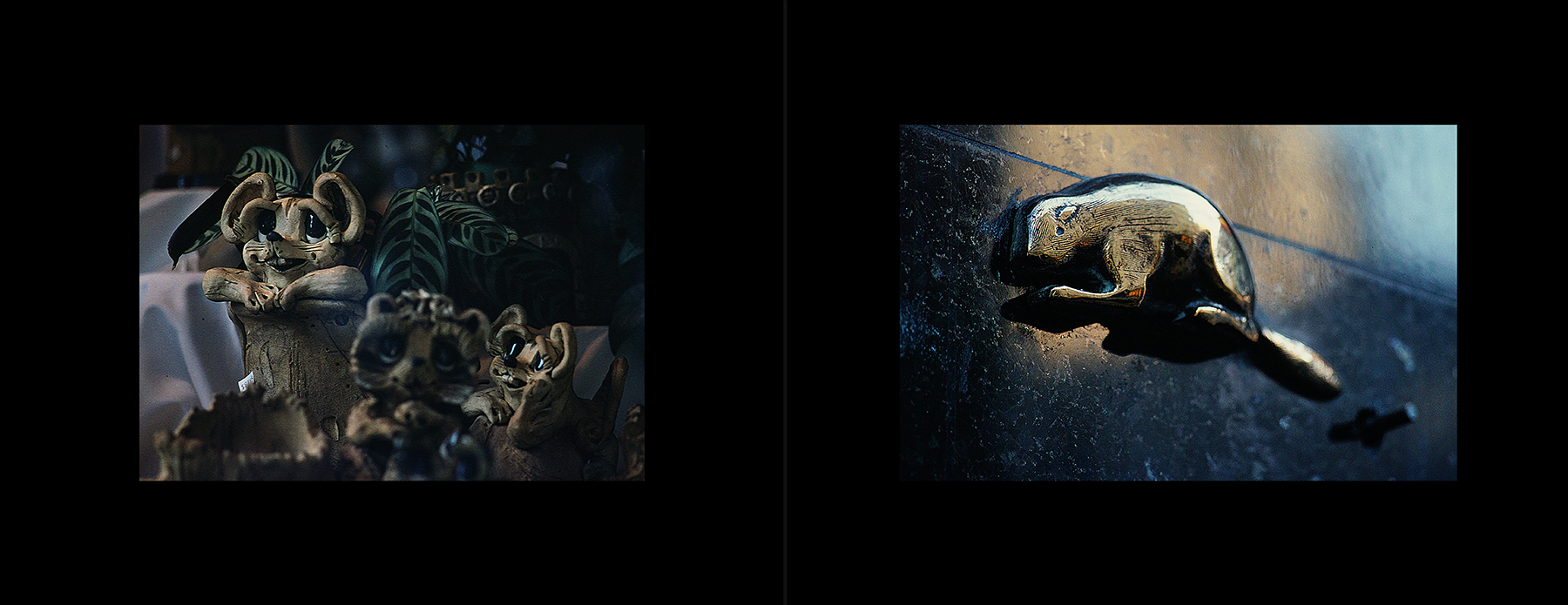 photos from Showers of Midnight Stardust [79]