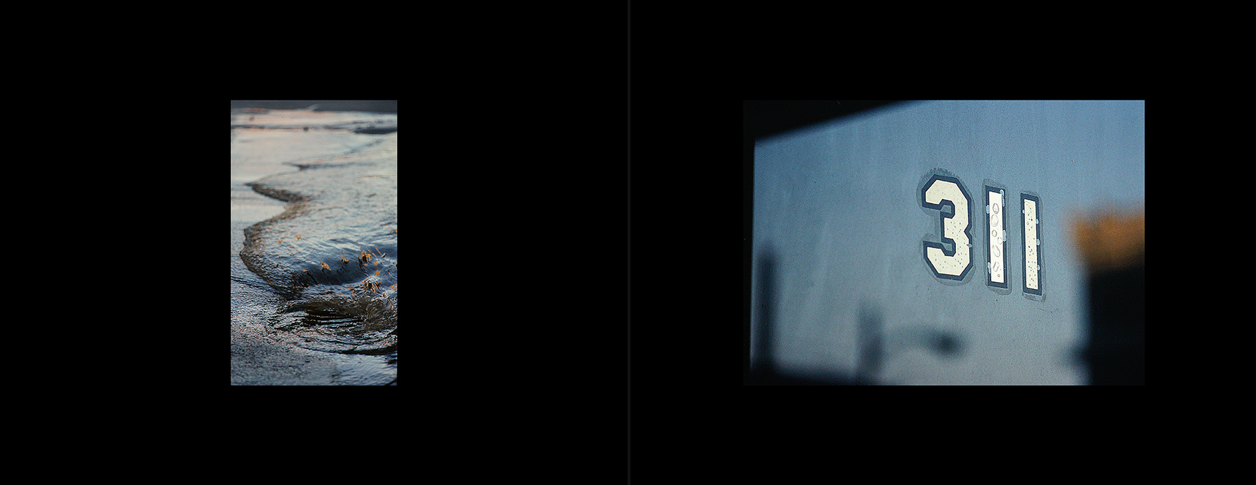 photos from Showers of Midnight Stardust [79]