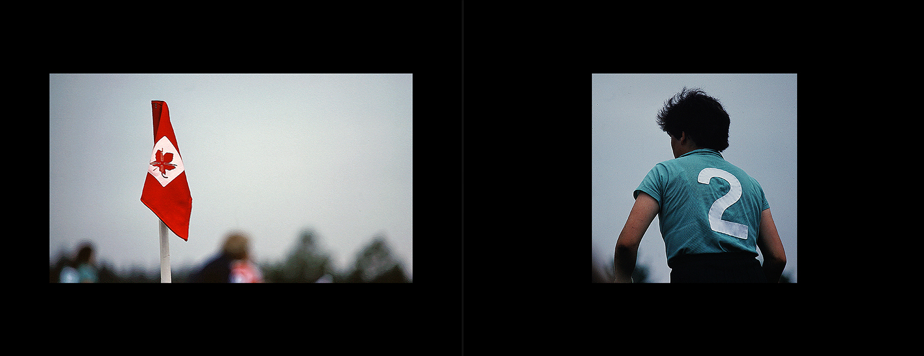 photos from Showers of Midnight Stardust [79]