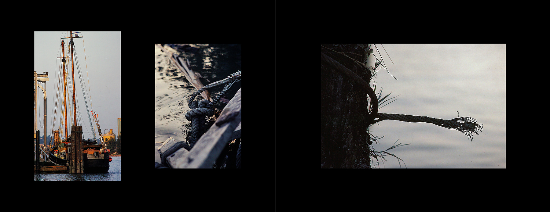 photos from Showers of Midnight Stardust [79]