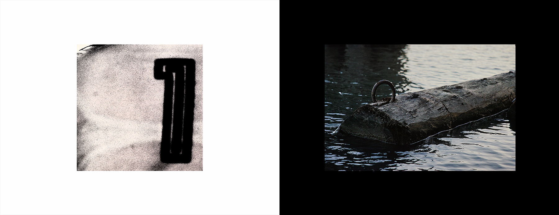 photos from Showers of Midnight Stardust [79]