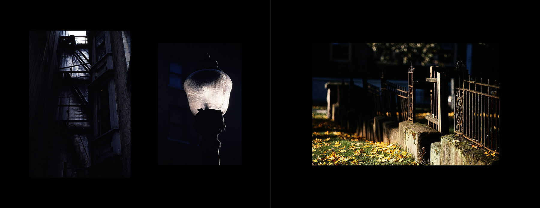 photos from Showers of Midnight Stardust [79]