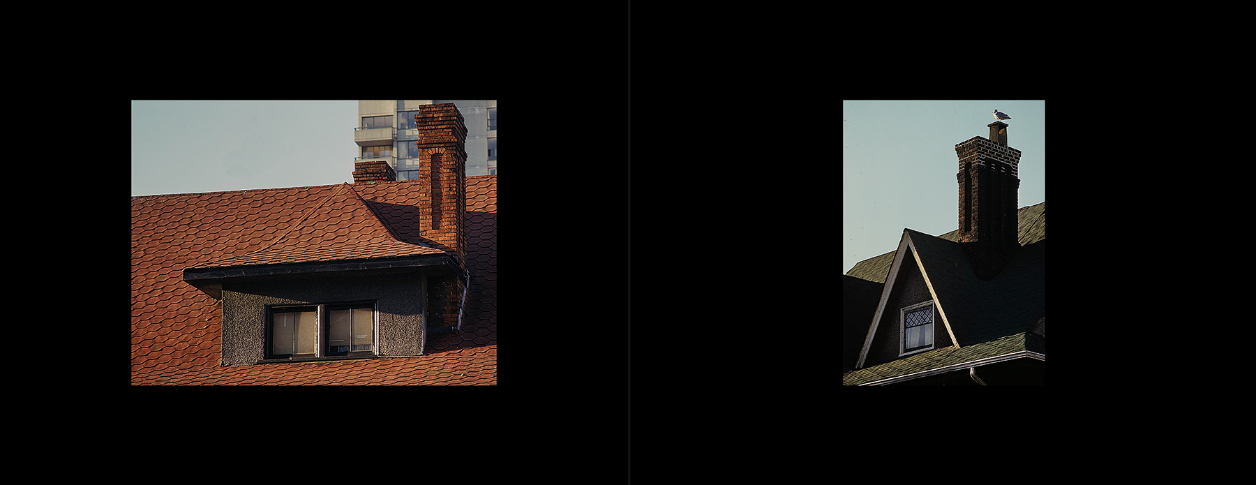 photos from Showers of Midnight Stardust [79]