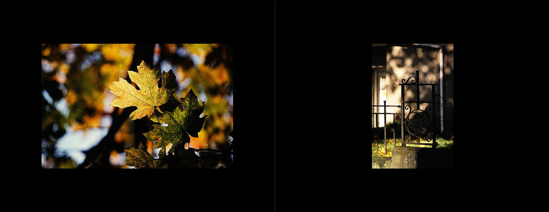 photos from Showers of Midnight Stardust [79]