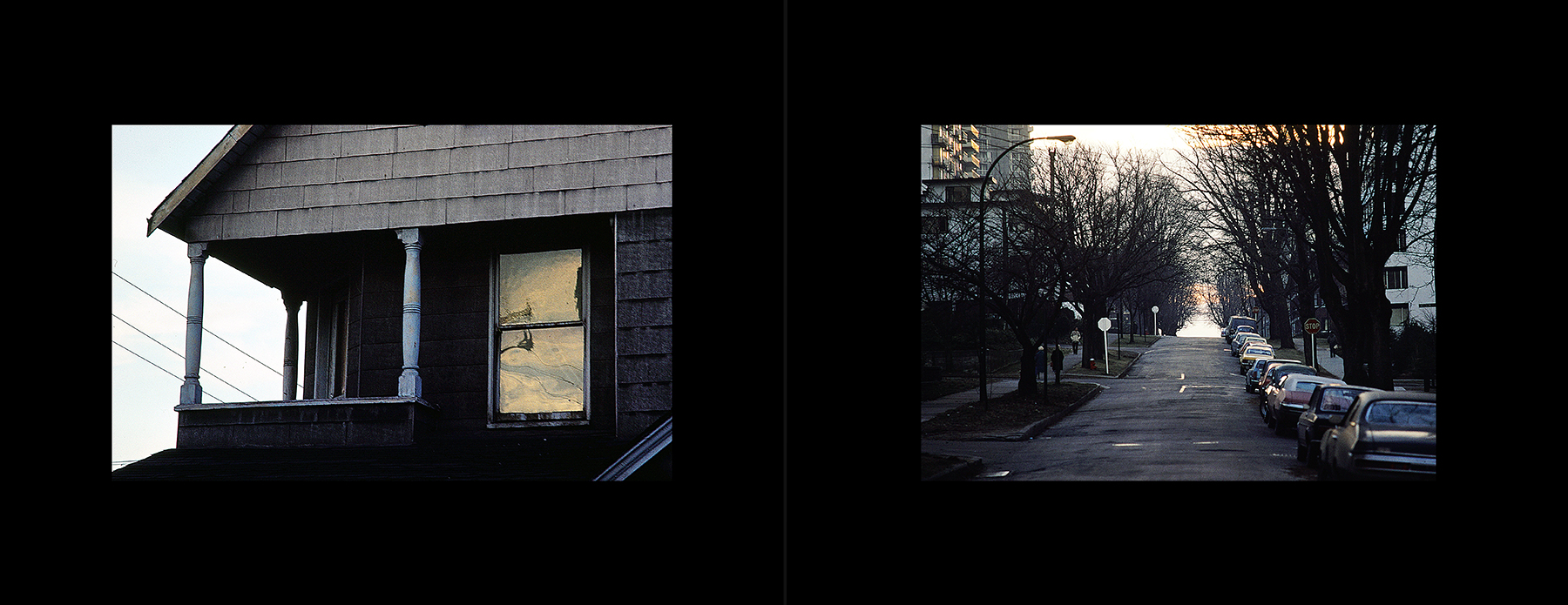 photos from Showers of Midnight Stardust [79]