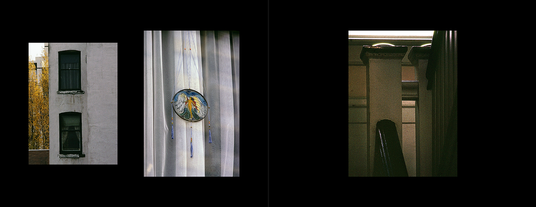 photos from Showers of Midnight Stardust [79]