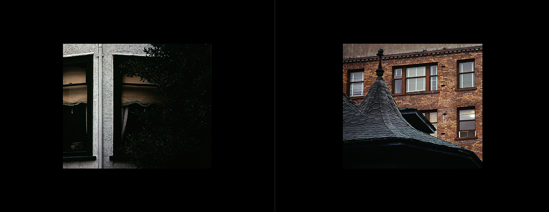 photos from Showers of Midnight Stardust [79]