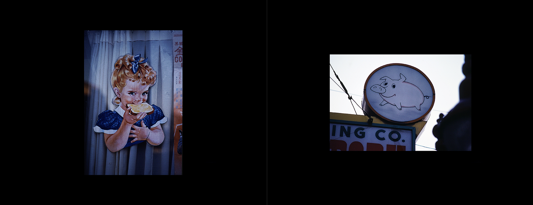 photos from Showers of Midnight Stardust [80]