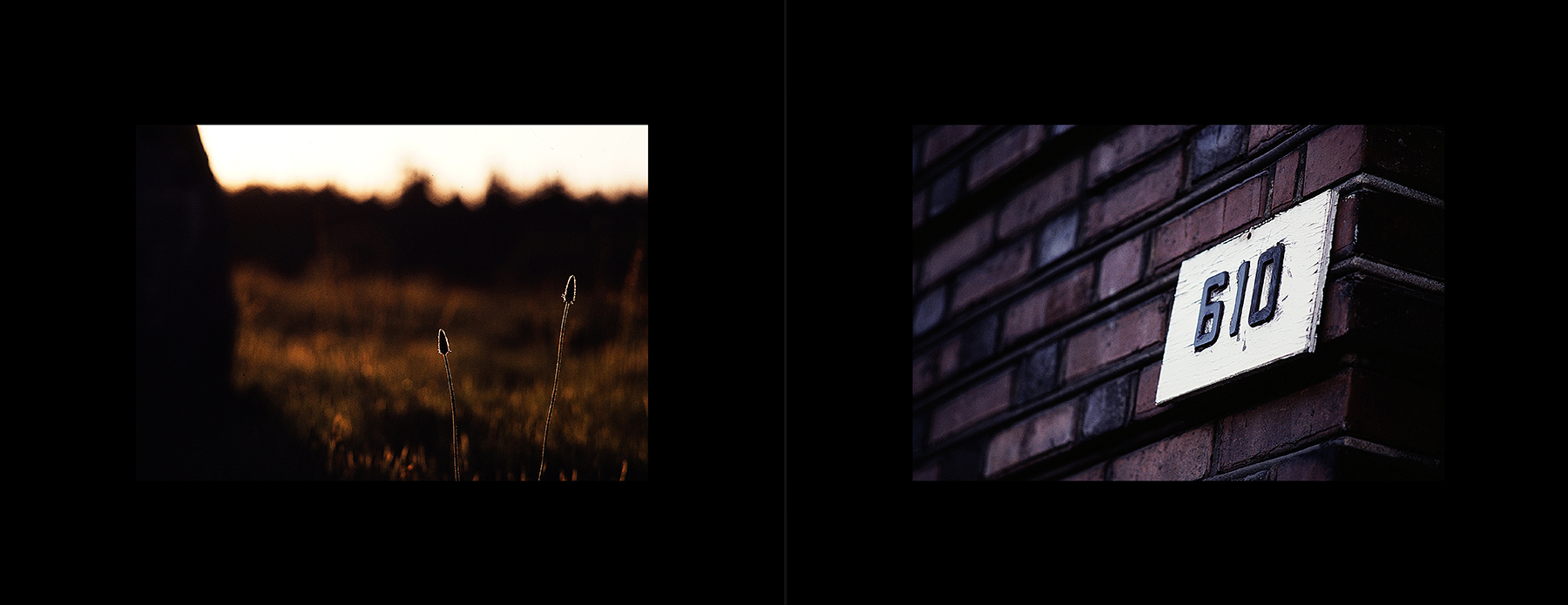 photos from Showers of Midnight Stardust [80]