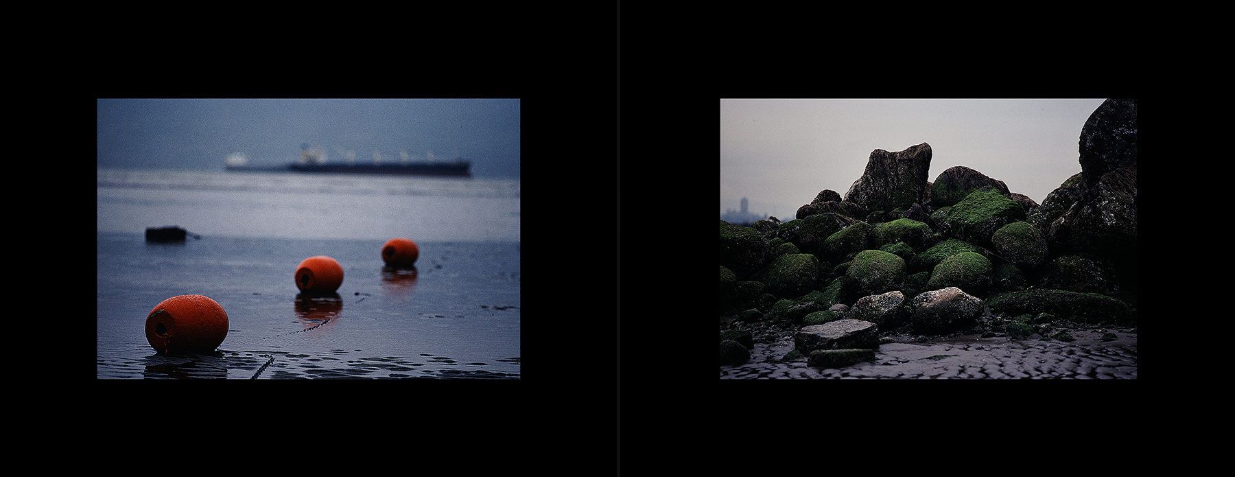 photos from Showers of Midnight Stardust [80]