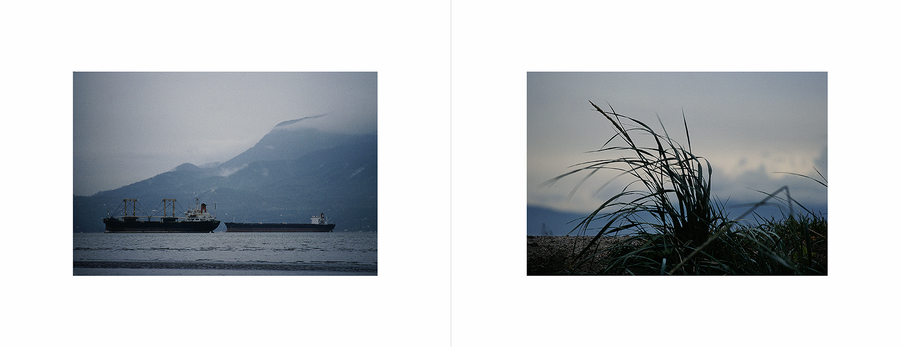 photos from Showers of Midnight Stardust [80]