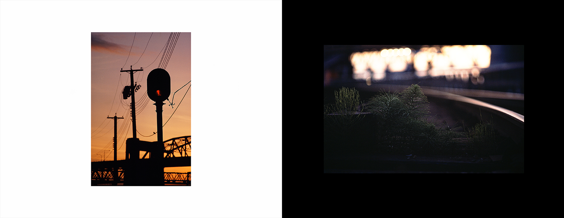 photos from Showers of Midnight Stardust [80]