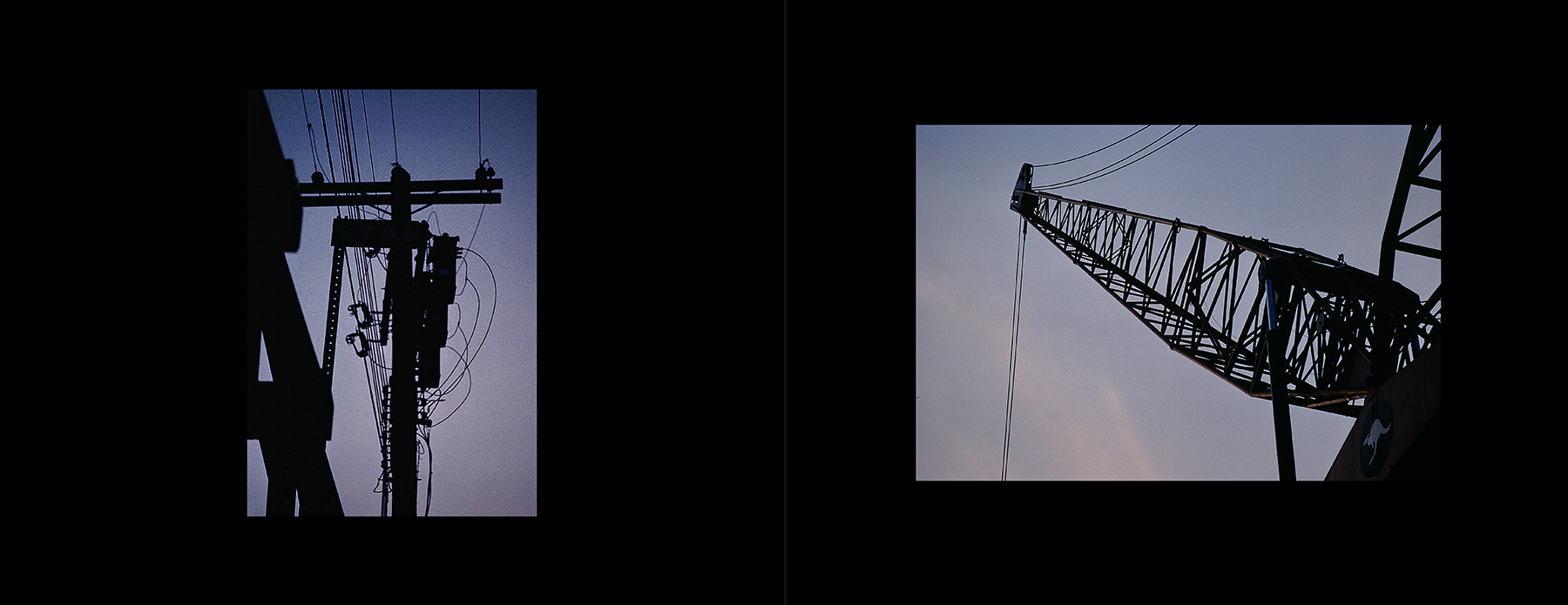 photos from Showers of Midnight Stardust [80]