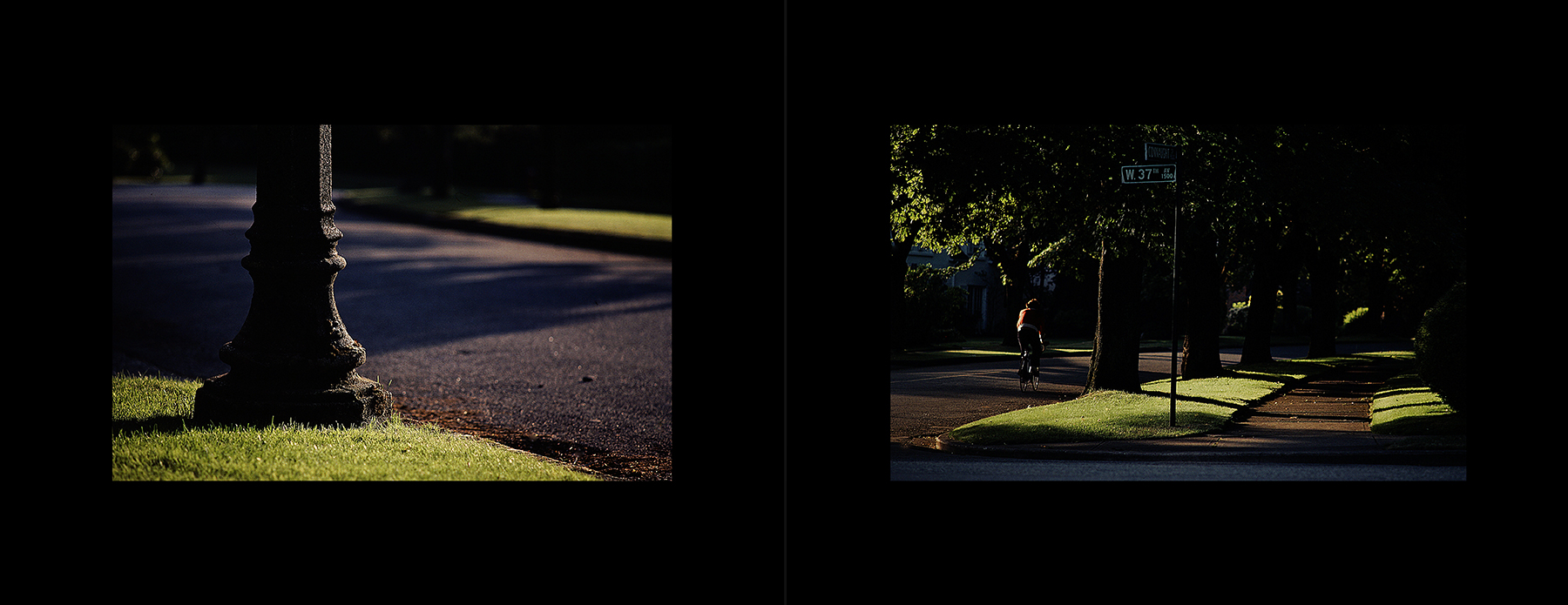 photos from Showers of Midnight Stardust [80]