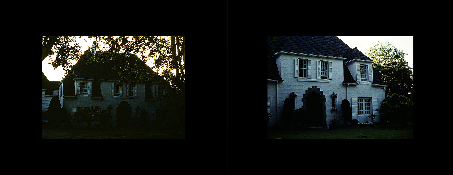 photos from Showers of Midnight Stardust [80]