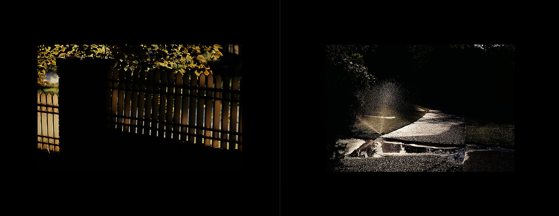 photos from Showers of Midnight Stardust [80]