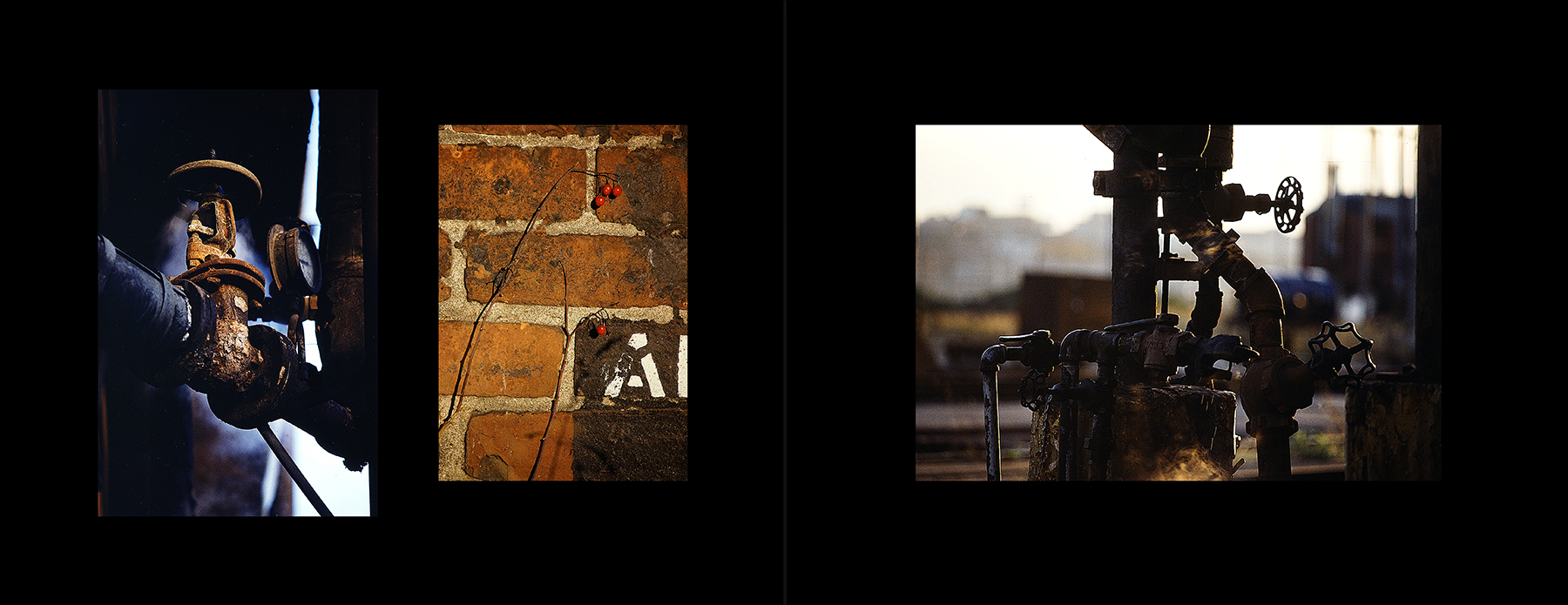 photos from Showers of Midnight Stardust [80]