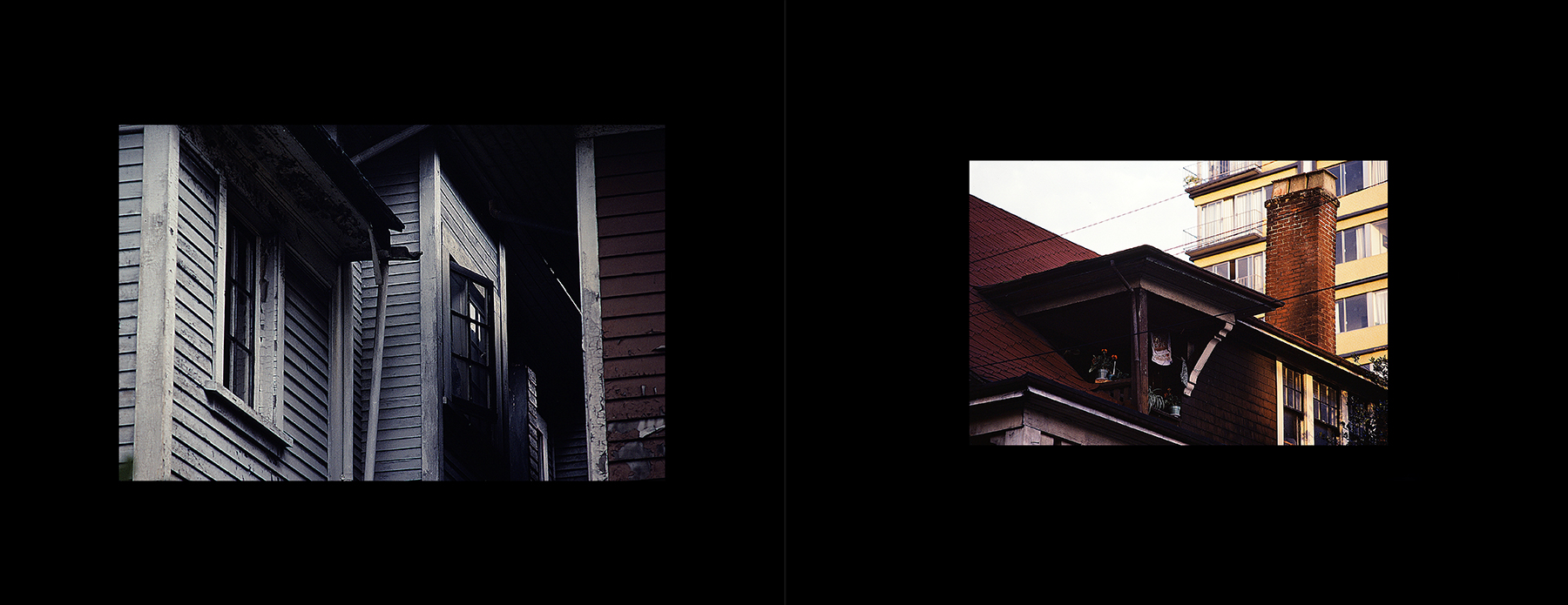 photos from Showers of Midnight Stardust [80]