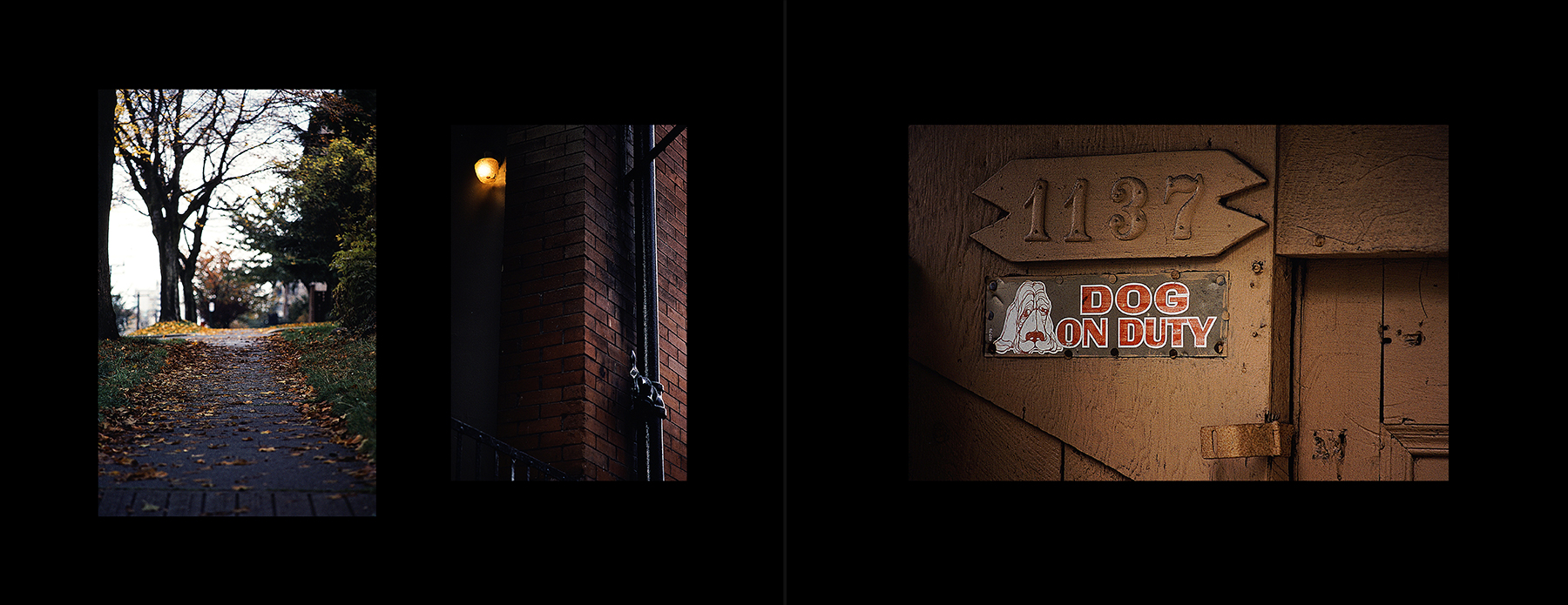 photos from Showers of Midnight Stardust [80]