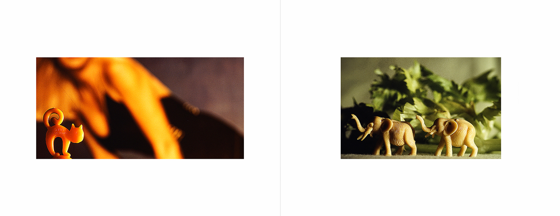 photos from Showers of Midnight Stardust [80]