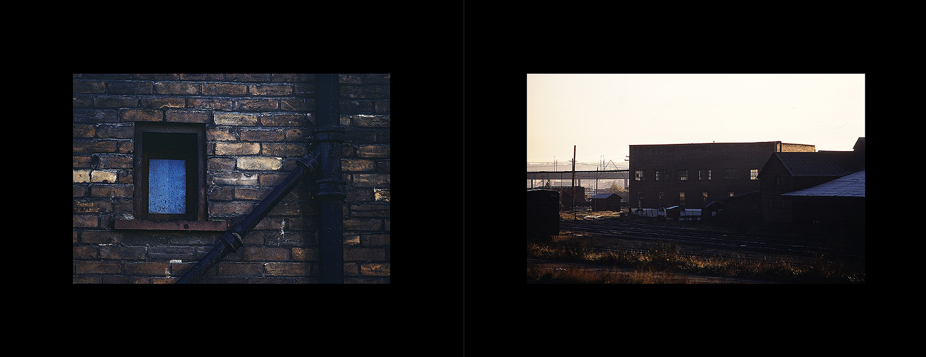 photos from Showers of Midnight Stardust [80]