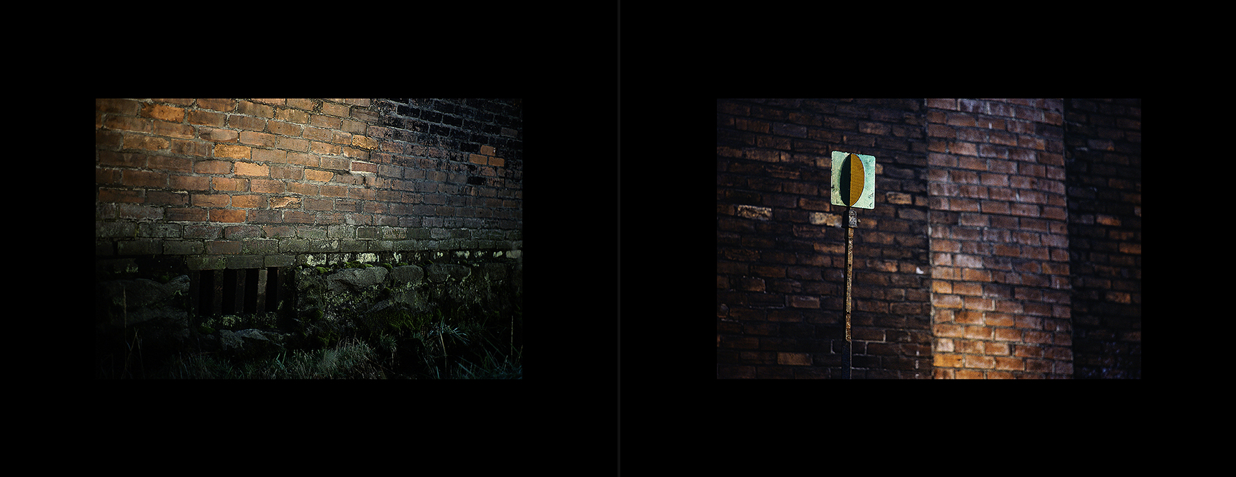 photos from Showers of Midnight Stardust [80]