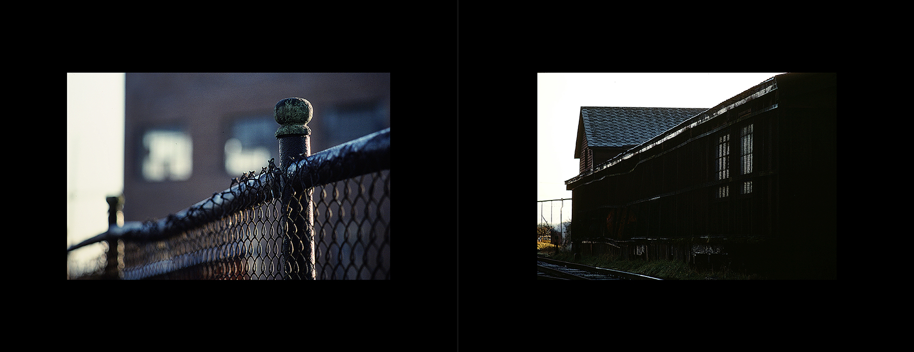 photos from Showers of Midnight Stardust [80]