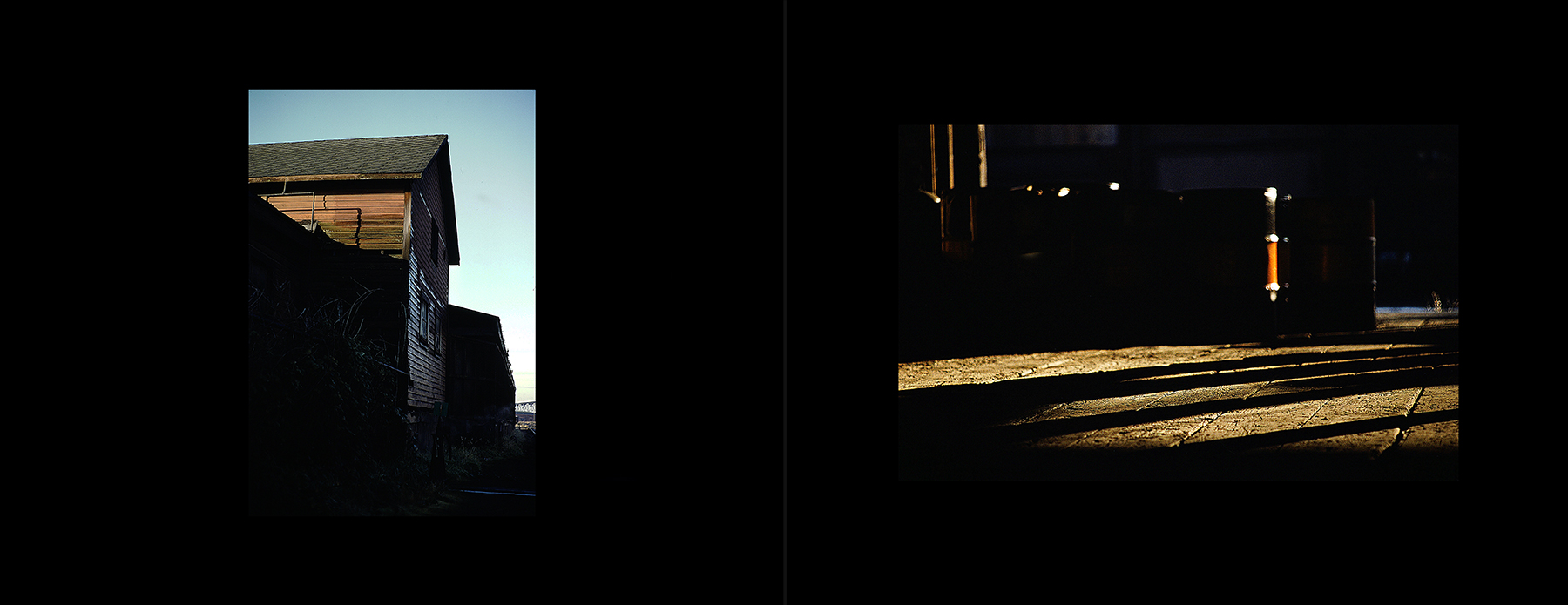 photos from Showers of Midnight Stardust [80]