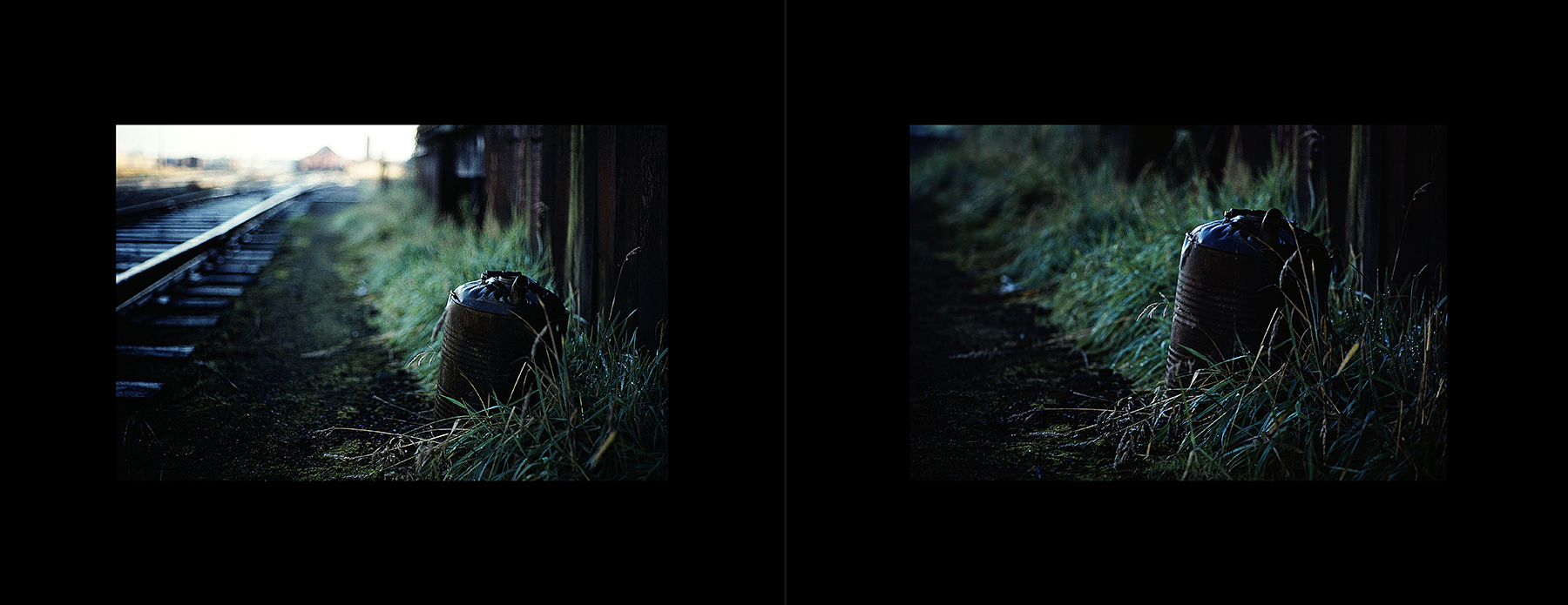 photos from Showers of Midnight Stardust [80]