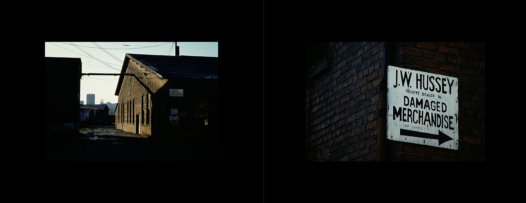 photos from Showers of Midnight Stardust [80]